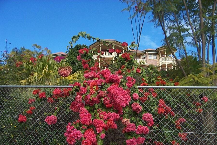 Appartamento Tranquil Garden Hideaway Ormeau Esterno foto